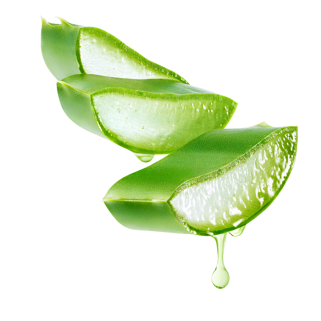 l'aloe vera 