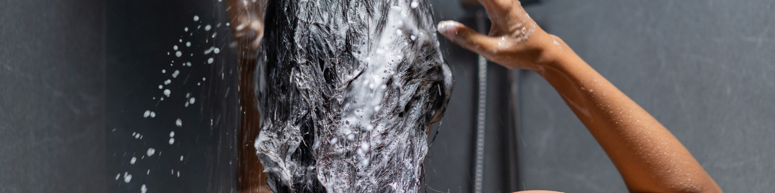 Shampoing cheveux secs