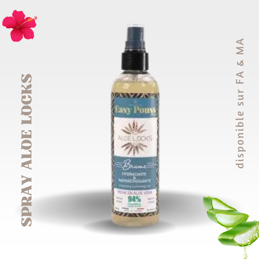 Easy pouss aloe locks